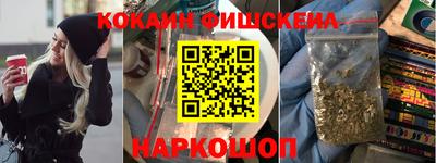 шишки Новодвинск