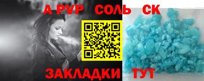шишки Новодвинск