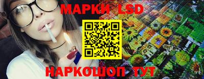 шишки Новодвинск