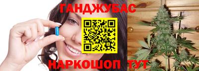 шишки Новодвинск