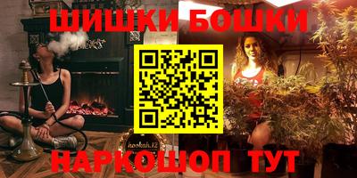 шишки Новодвинск
