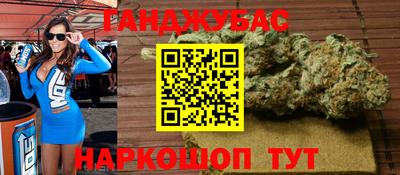 шишки Новодвинск