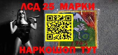 шишки Новодвинск