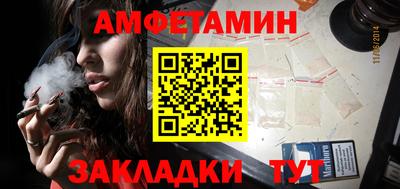 шишки Новодвинск