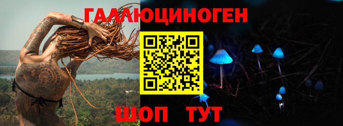 Тулун  Галлюциногенные грибы мухоморы  Вход с VPN  Галлюциногенные грибы Cubensis 